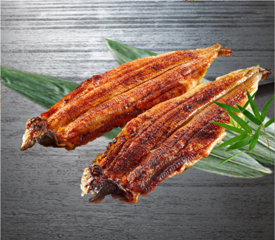 生うなぎ蒲焼　大2尾